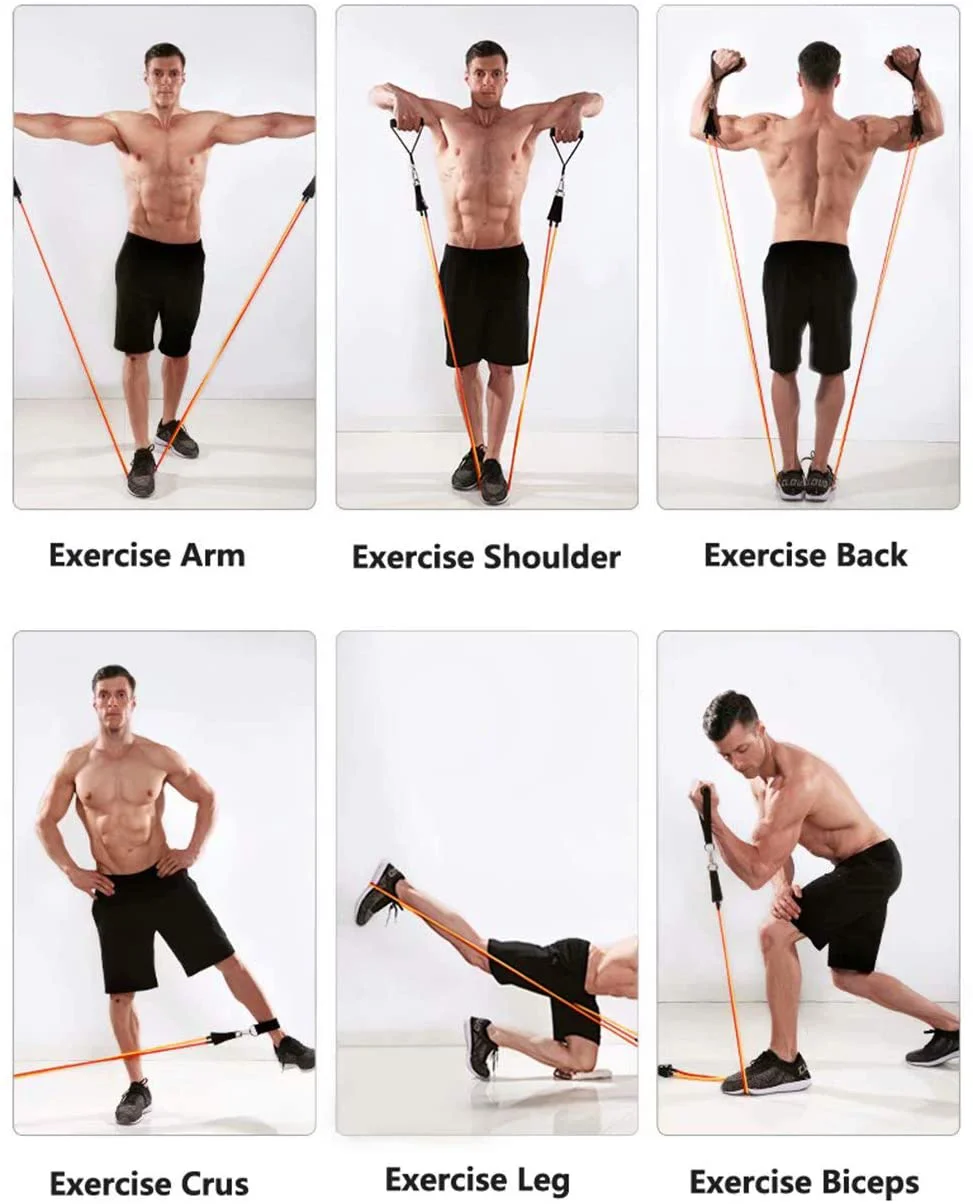 Resistance Bands with Handles, Door Anchor, Pull Rope, Tension Band Muscle Training Home Rally Belt, Fitness Equipment TPE Rally Kit Workout Bands for Total Body Exercise